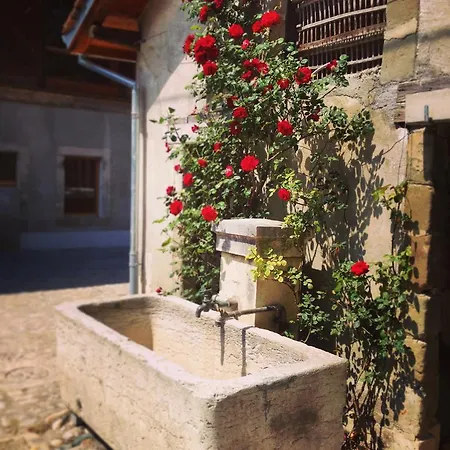 La Ferme Du Lignon Pensjonat *
